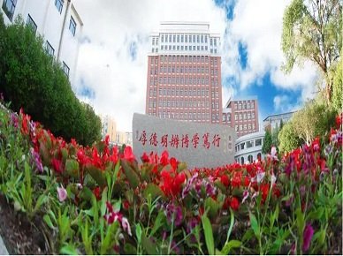 栏目用于追新